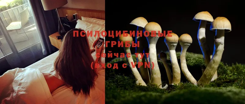 как найти закладки  нарко площадка телеграм  Галлюциногенные грибы Magic Shrooms  Шахты 